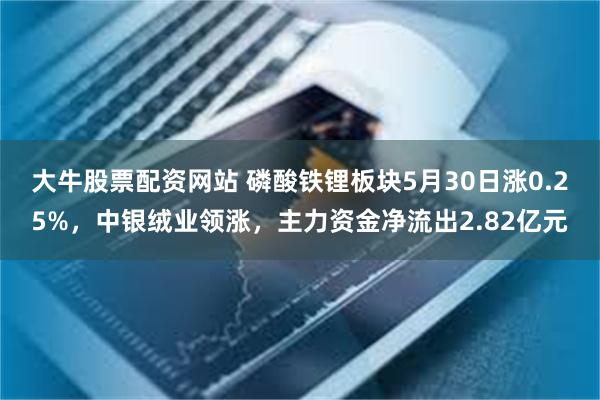 大牛股票配资网站 磷酸铁锂板块5月30日涨0.25%，中银绒业领涨，主力资金净流出2.82亿元