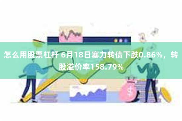 怎么用股票杠杆 6月18日塞力转债下跌0.86%，转股溢价率158.79%