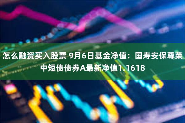 怎么融资买入股票 9月6日基金净值：国寿安保尊荣中短债债券A最新净值1.1618