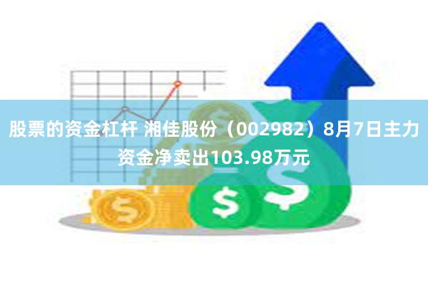 股票的资金杠杆 湘佳股份（002982）8月7日主力资金净卖出103.98万元