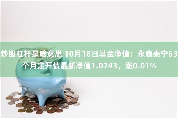 炒股杠杆是啥意思 10月18日基金净值：永赢泰宁63个月定开债最新净值1.0743，涨0.01%