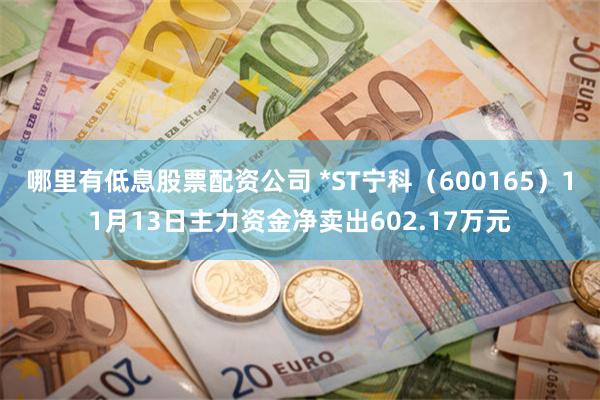 哪里有低息股票配资公司 *ST宁科（600165）11月13日主力资金净卖出602.17万元