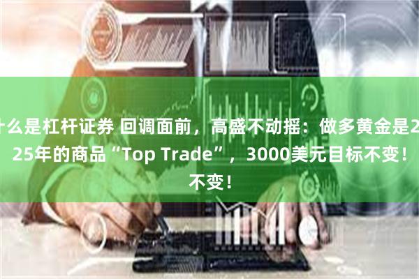 什么是杠杆证券 回调面前，高盛不动摇：做多黄金是2025年的商品“Top Trade”，3000美元目标不变！