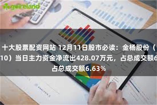 十大股票配资网站 12月11日股市必读：金杨股份（301210）当日主力资金净流出428.07万元，占总成交额6.63%