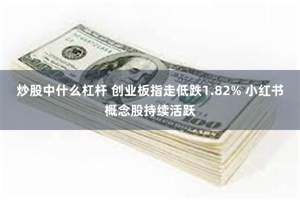 炒股中什么杠杆 创业板指走低跌1.82% 小红书概念股持续活跃