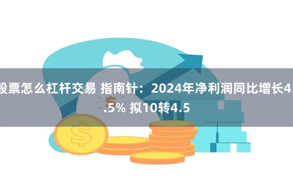 股票怎么杠杆交易 指南针：2024年净利润同比增长43.5% 拟10转4.5