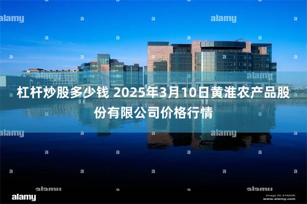 杠杆炒股多少钱 2025年3月10日黄淮农产品股份有限公司价格行情